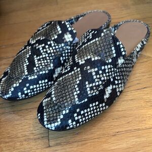 Everlane Loafer Italian Leather